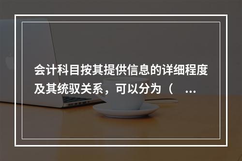 会计科目按其提供信息的详细程度及其统驭关系，可以分为（　　）