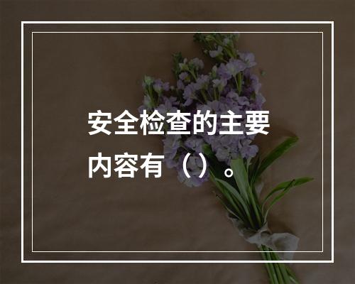 安全检查的主要内容有（ ）。