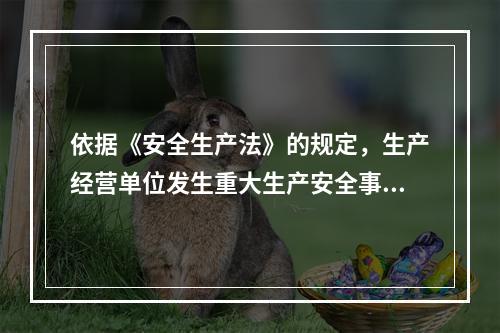 依据《安全生产法》的规定，生产经营单位发生重大生产安全事故时