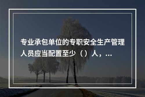 专业承包单位的专职安全生产管理人员应当配置至少（ ）人，并根