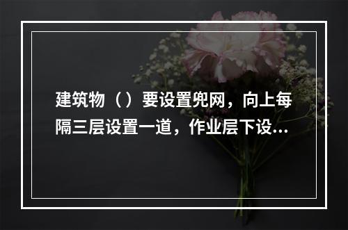 建筑物（ ）要设置兜网，向上每隔三层设置一道，作业层下设随层