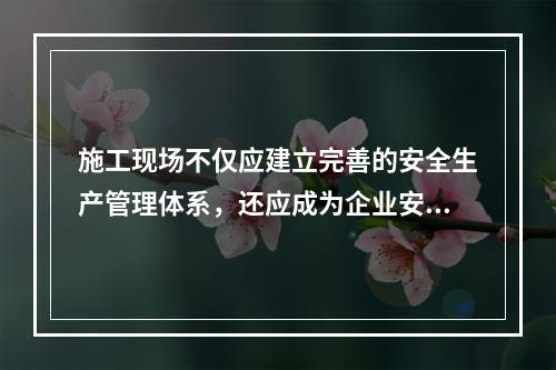 施工现场不仅应建立完善的安全生产管理体系，还应成为企业安全生