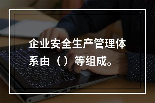 企业安全生产管理体系由（ ）等组成。