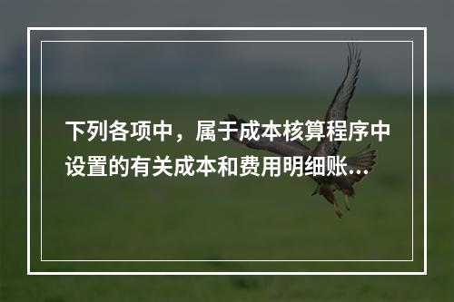 下列各项中，属于成本核算程序中设置的有关成本和费用明细账的有