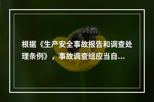 根据《生产安全事故报告和调查处理条例》，事故调查组应当自事故