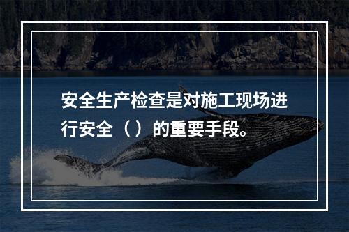 安全生产检查是对施工现场进行安全（ ）的重要手段。