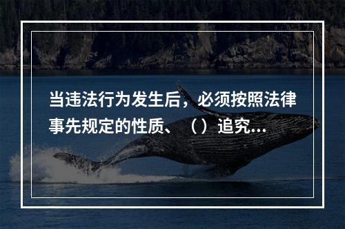 当违法行为发生后，必须按照法律事先规定的性质、（ ）追究违法