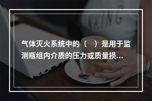 气体灭火系统中的（　）是用于监测瓶组内介质的压力或质量损失的