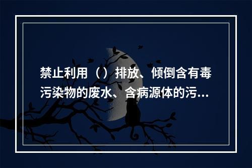 禁止利用（ ）排放、倾倒含有毒污染物的废水、含病源体的污水和