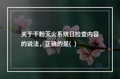 关于干粉灭火系统日检查内容的说法，正确的是(  )