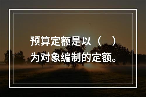 预算定额是以（　）为对象编制的定额。