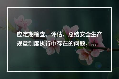 应定期检查、评估、总结安全生产规章制度执行中存在的问题，或建