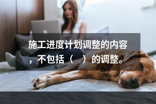 施工进度计划调整的内容，不包括（　）的调整。