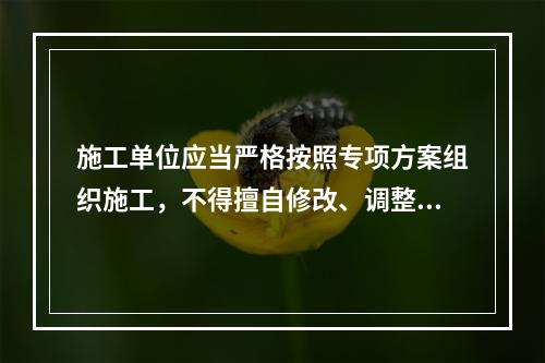 施工单位应当严格按照专项方案组织施工，不得擅自修改、调整专项