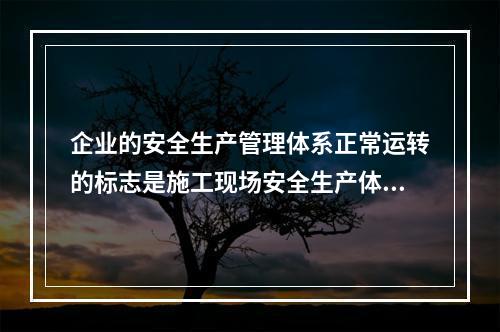 企业的安全生产管理体系正常运转的标志是施工现场安全生产体系的