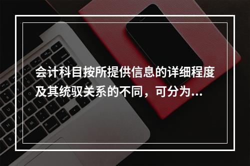 会计科目按所提供信息的详细程度及其统驭关系的不同，可分为（