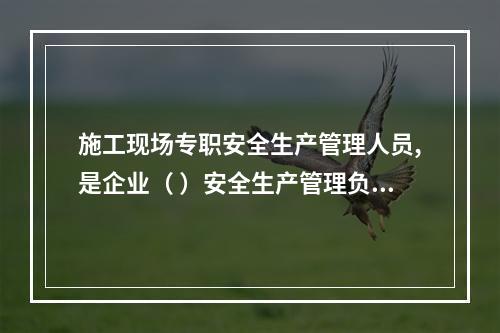 施工现场专职安全生产管理人员,是企业（ ）安全生产管理负责人