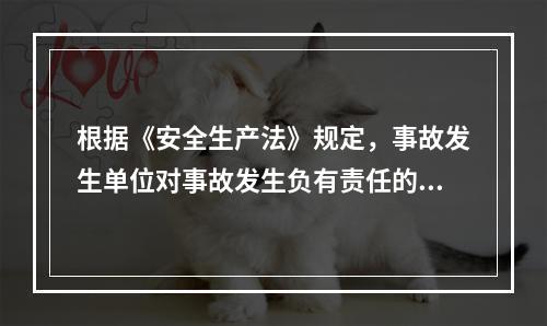 根据《安全生产法》规定，事故发生单位对事故发生负有责任的，依