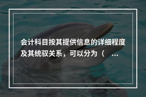 会计科目按其提供信息的详细程度及其统驭关系，可以分为（　　）