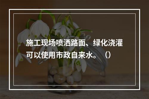 施工现场喷洒路面、绿化浇灌可以使用市政自来水。（）