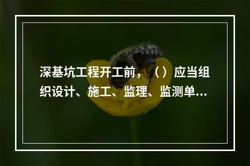 深基坑工程开工前，（ ）应当组织设计、施工、监理、监测单位进