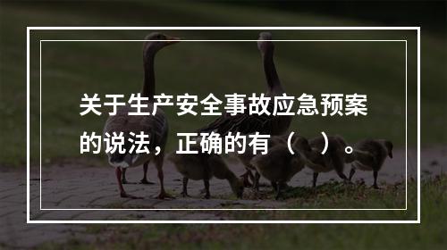 关于生产安全事故应急预案的说法，正确的有（　）。