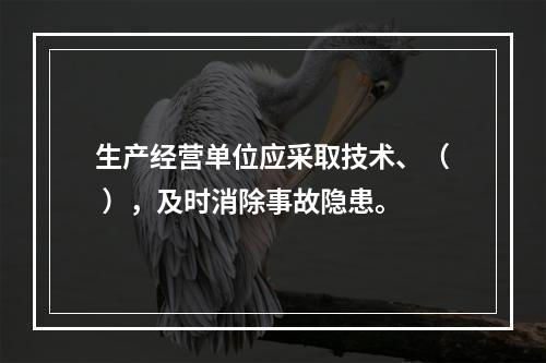 生产经营单位应采取技术、（ ），及时消除事故隐患。