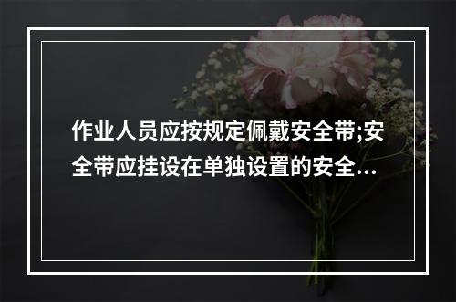 作业人员应按规定佩戴安全带;安全带应挂设在单独设置的安全绳上