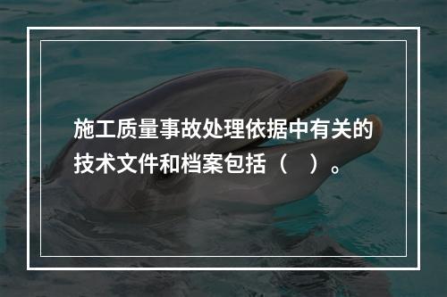 施工质量事故处理依据中有关的技术文件和档案包括（　）。