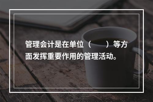 管理会计是在单位（　　）等方面发挥重要作用的管理活动。