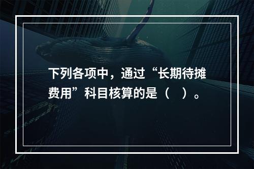 下列各项中，通过“长期待摊费用”科目核算的是（　）。