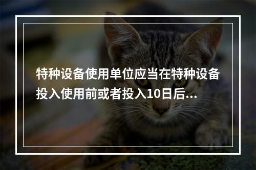 特种设备使用单位应当在特种设备投入使用前或者投入10日后，向