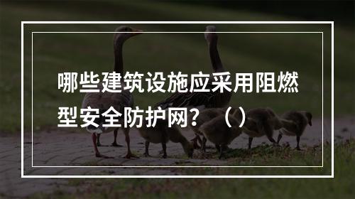 哪些建筑设施应采用阻燃型安全防护网？（ ）