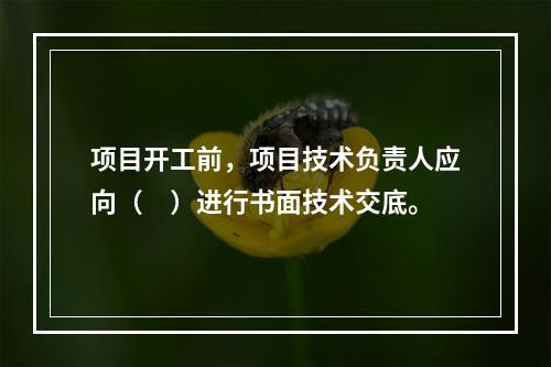 项目开工前，项目技术负责人应向（　）进行书面技术交底。