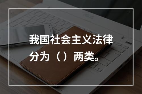 我国社会主义法律分为（ ）两类。