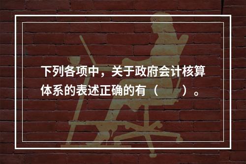 下列各项中，关于政府会计核算体系的表述正确的有（　　）。