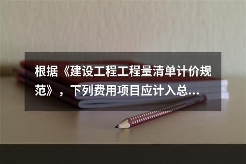 根据《建设工程工程量清单计价规范》，下列费用项目应计入总承包