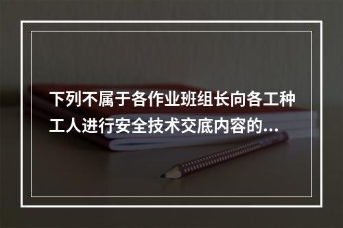 下列不属于各作业班组长向各工种工人进行安全技术交底内容的是（