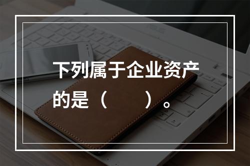 下列属于企业资产的是（　　）。