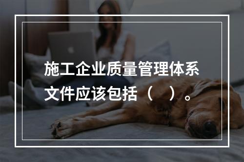 施工企业质量管理体系文件应该包括（　）。