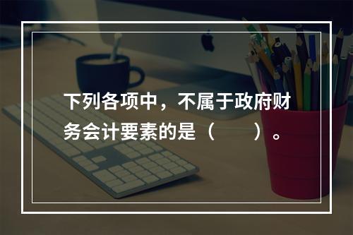 下列各项中，不属于政府财务会计要素的是（　　）。