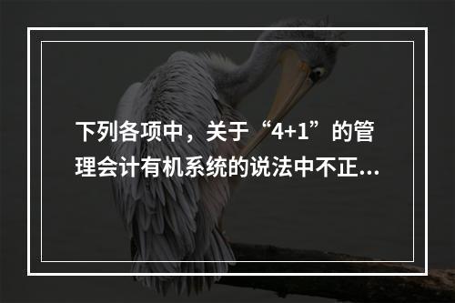 下列各项中，关于“4+1”的管理会计有机系统的说法中不正确的