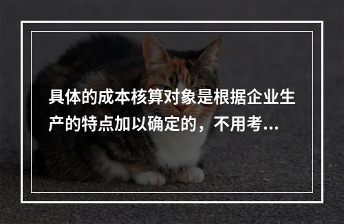 具体的成本核算对象是根据企业生产的特点加以确定的，不用考虑成