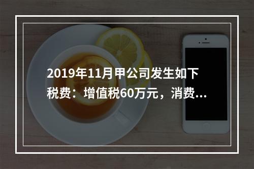 2019年11月甲公司发生如下税费：增值税60万元，消费税8