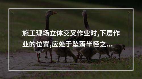 施工现场立体交叉作业时,下层作业的位置,应处于坠落半径之内。