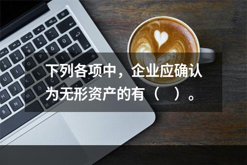 下列各项中，企业应确认为无形资产的有（　）。