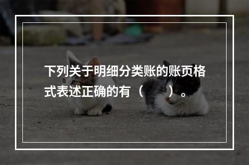 下列关于明细分类账的账页格式表述正确的有（　　）。