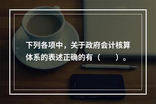 下列各项中，关于政府会计核算体系的表述正确的有（　　）。