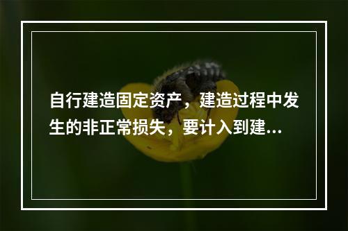 自行建造固定资产，建造过程中发生的非正常损失，要计入到建造成