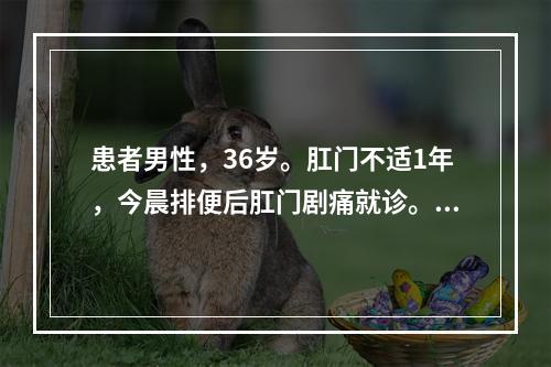 患者男性，36岁。肛门不适1年，今晨排便后肛门剧痛就诊。医生